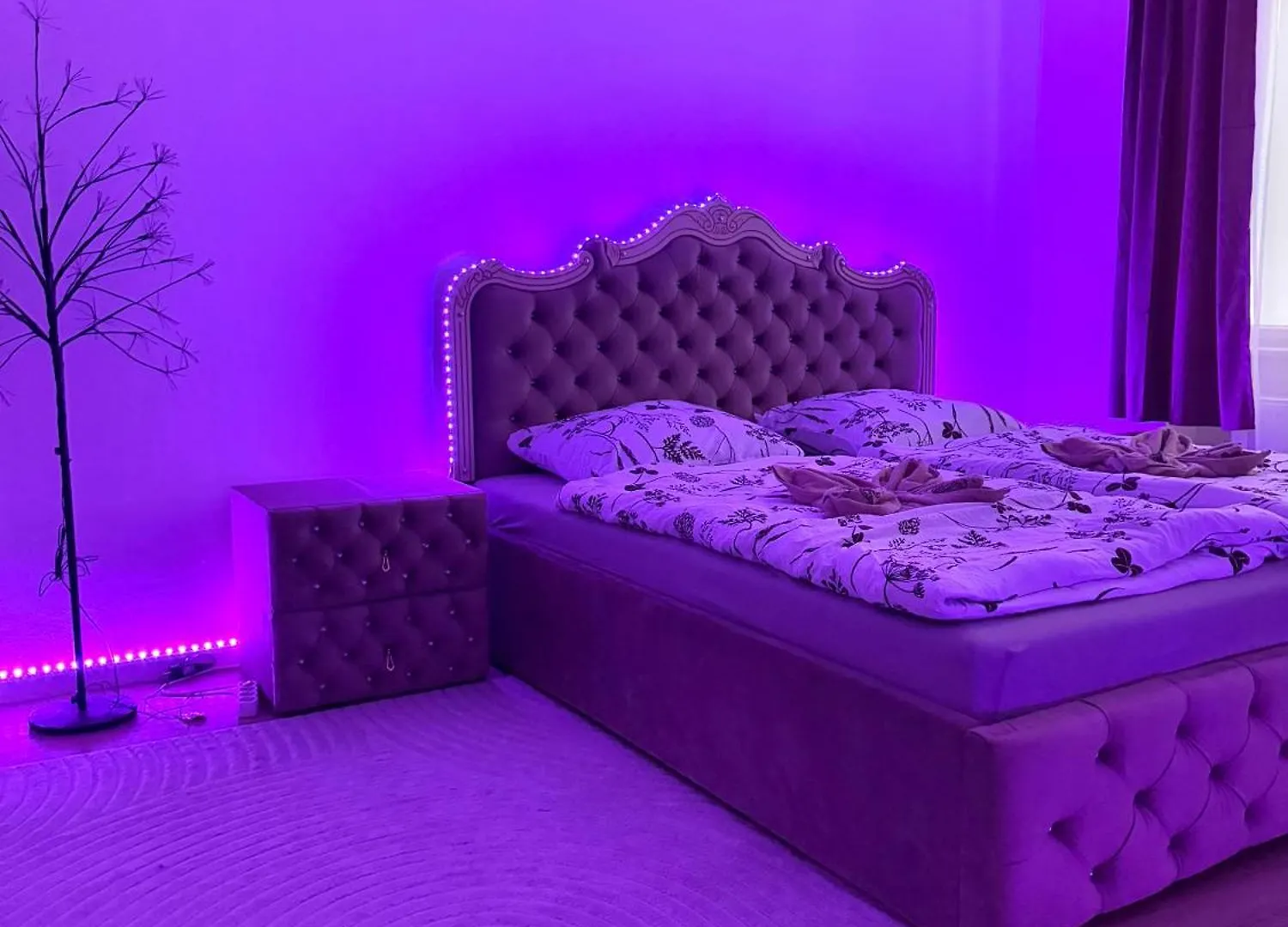 Apartment Apartman Queen Brno